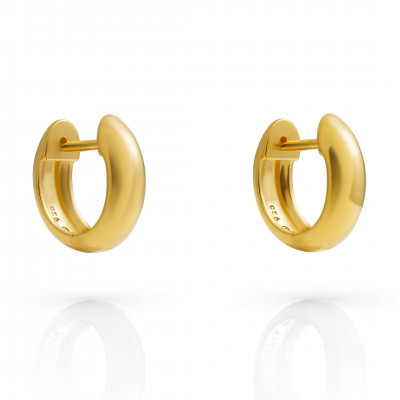 'Dory' Women's Sterling Silver Hoop Earrings - Gold ZO-7556/G
