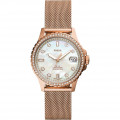Fossil® Analogue 'Fb-01' Women's Watch ES4999